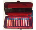 Girls Night Out 10 Piece Mini Lip Gloss Collection and Maroon Case $40-Value
