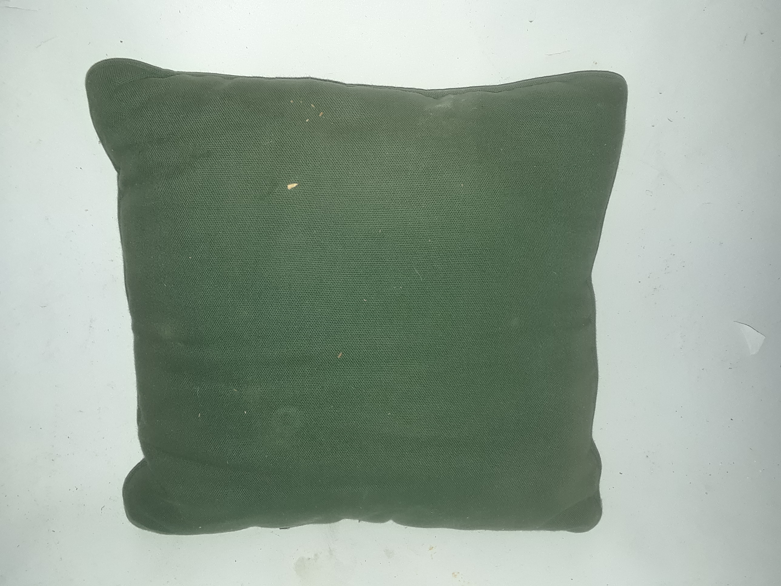 Green Decorative Pillow Frog Theme