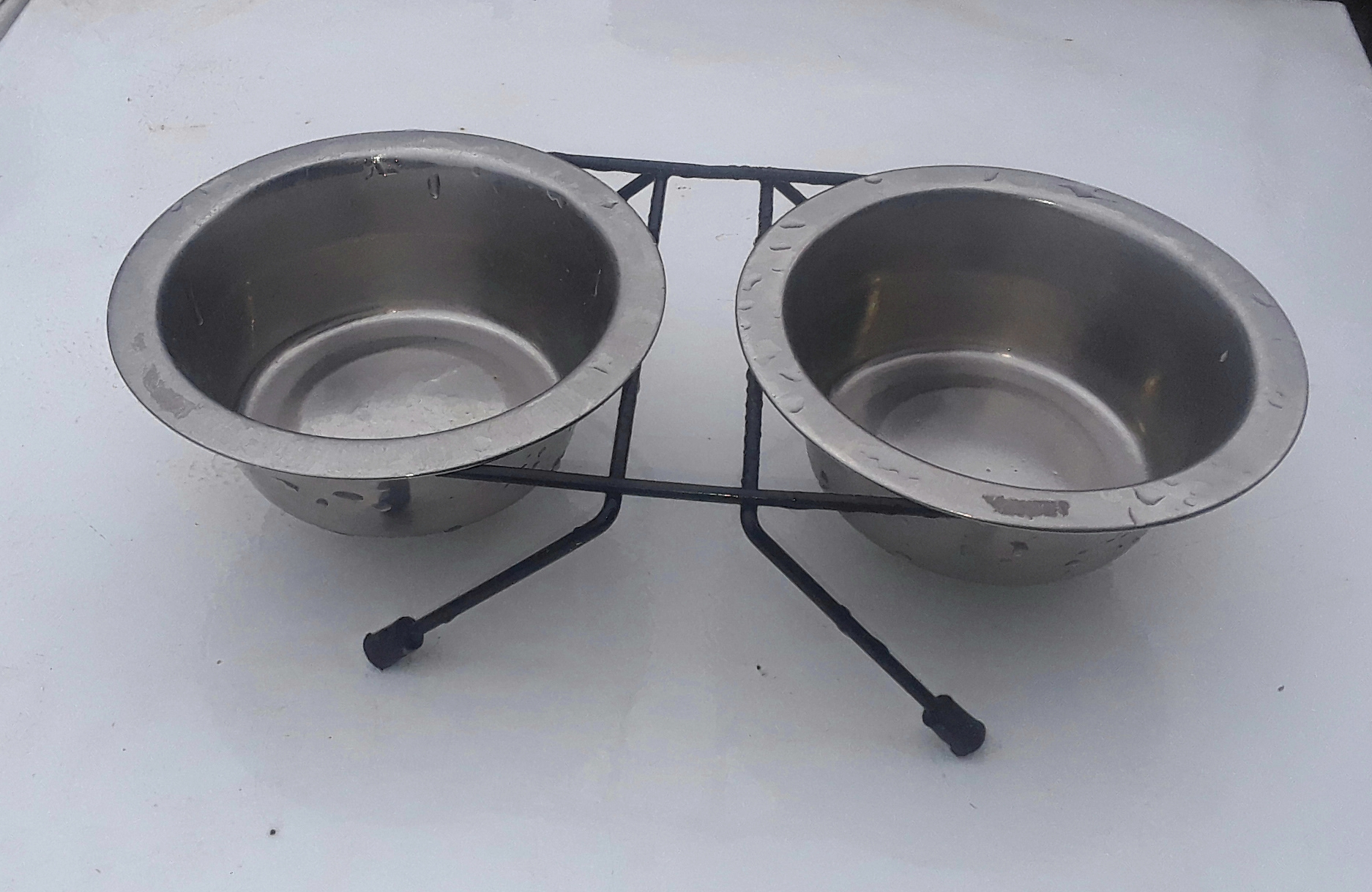 Double Cat Bowls with Stand stainless