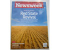 Newsweek Magazine November 15 2010 (The World Fails Haiti Again, Sex Drugs & RPGs, Red State Revival)